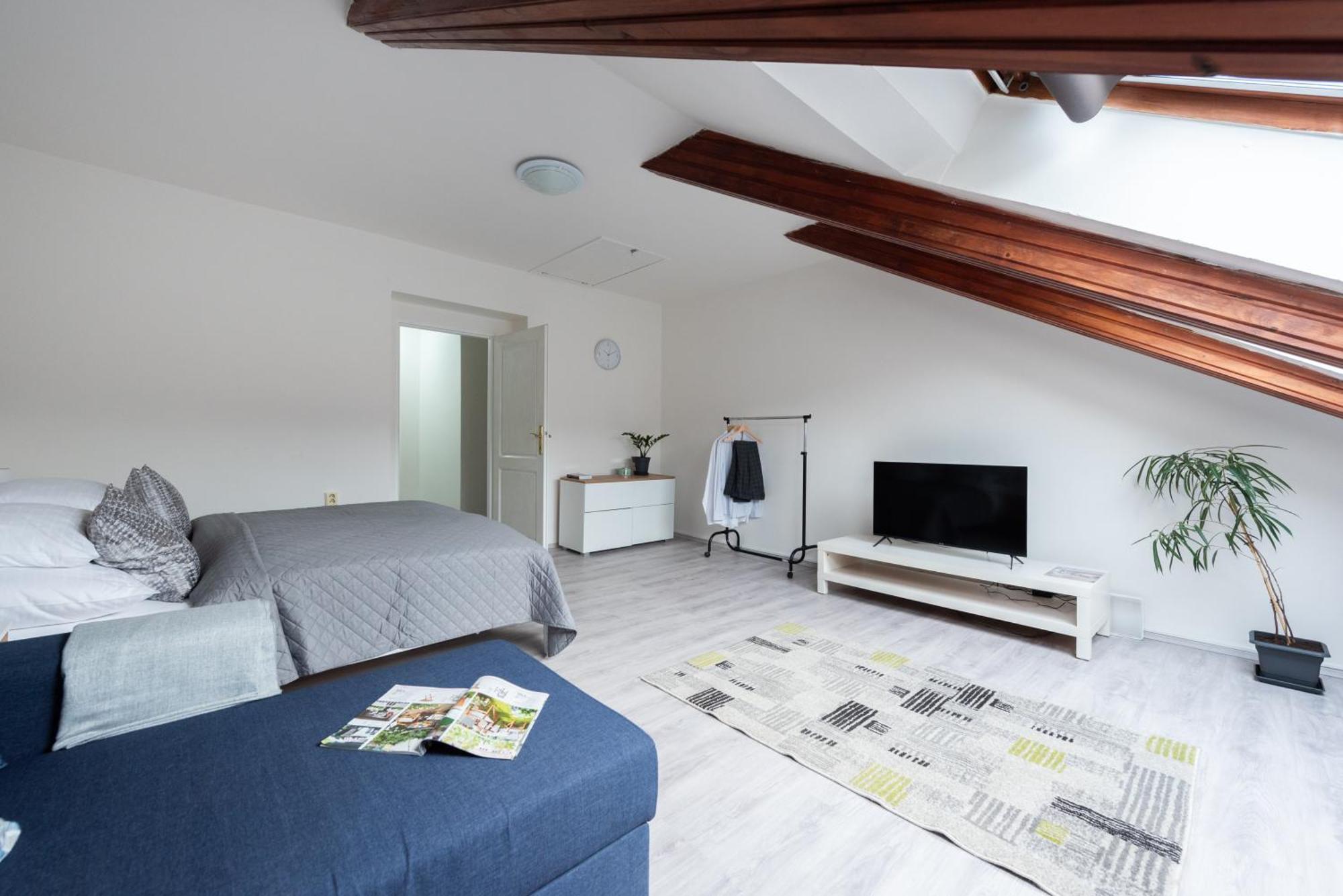 - Karlin Apartmán Praha